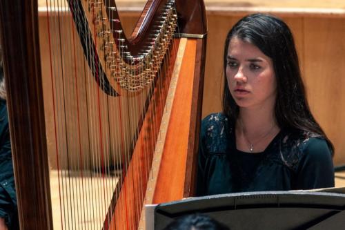 Harp