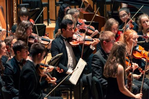 Violins 2