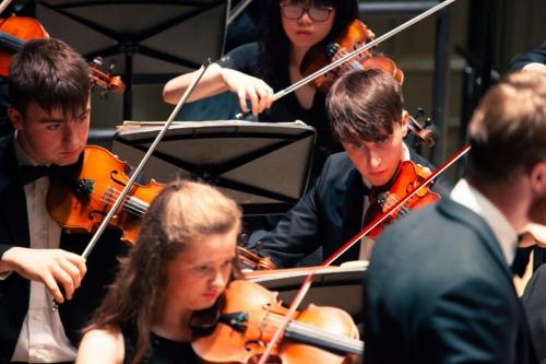 Violins 3