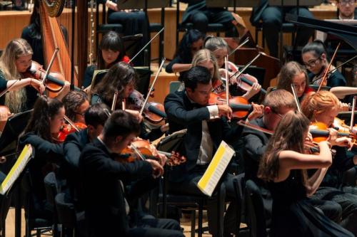 Violins